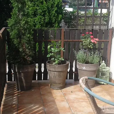 Apartament Algador *