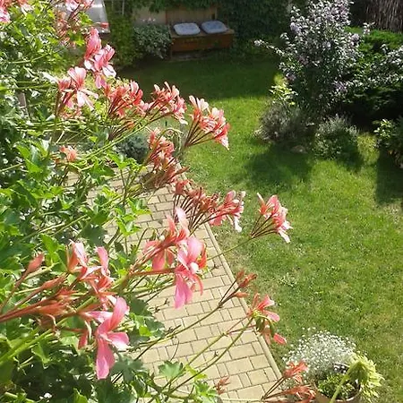 Apartament Algador